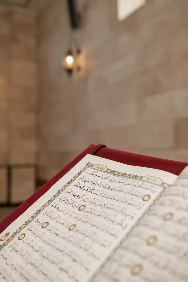 Quran & Tajweed